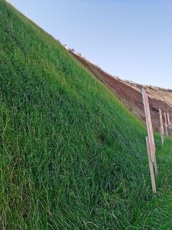 场地硬化土壤固化污泥改性剂现货充足海量货源
