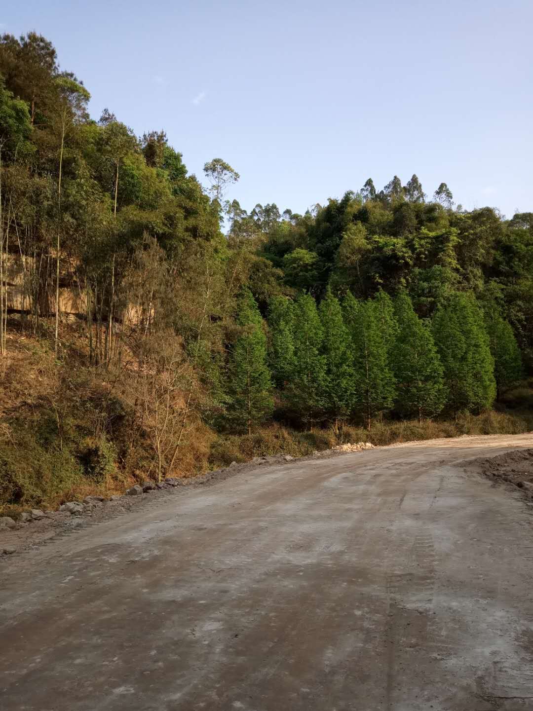 污泥改性固化剂农村公路固化土一站式厂家