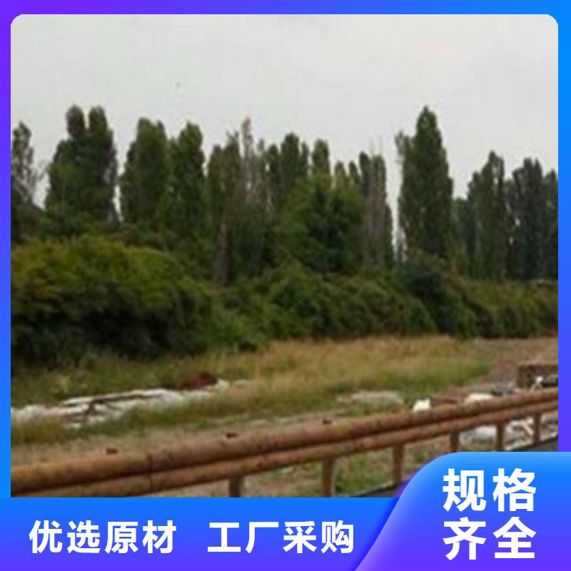 钢背木护栏桥梁护栏品质可靠批发供应