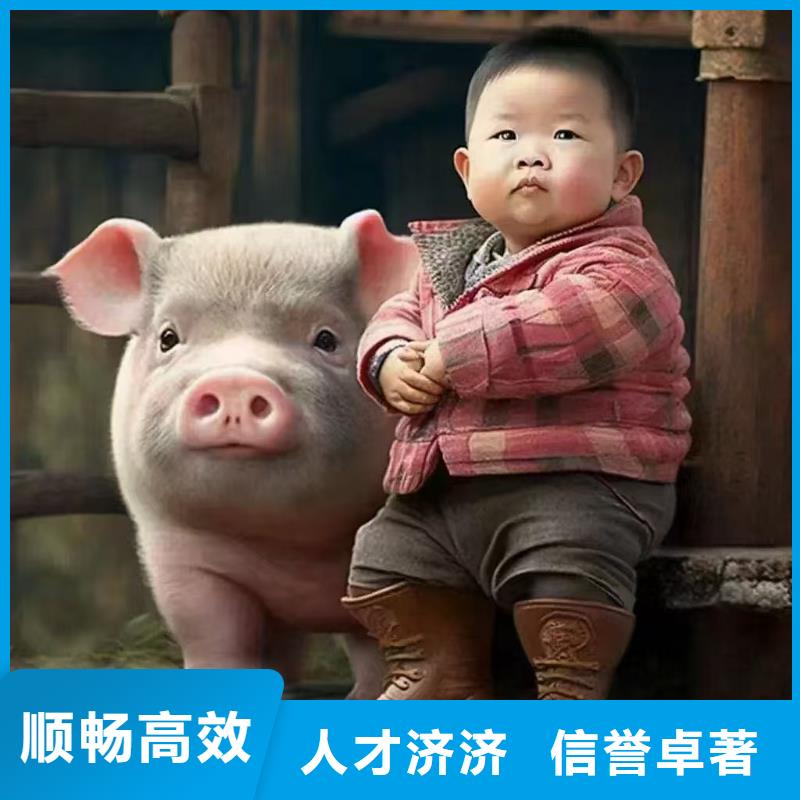 宿迁到二育运输支持到付价格实惠
