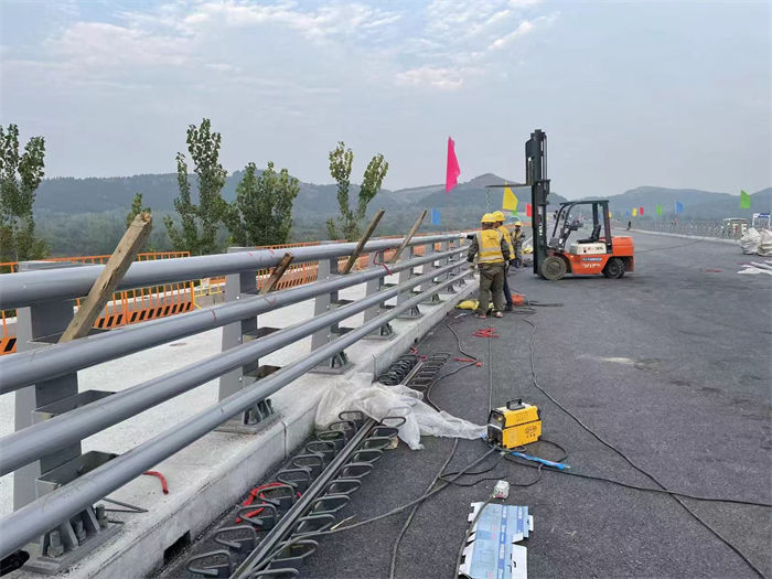 道路护栏厂家-可按需定制