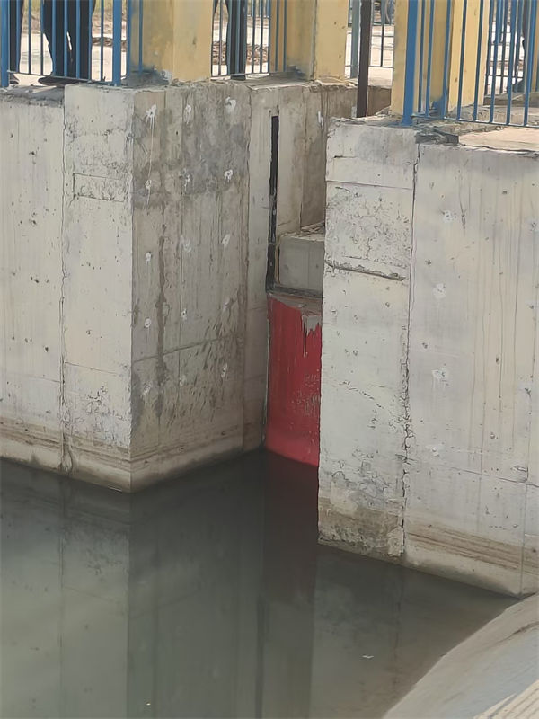 铸铁闸门-水电站铸铁闸门老客户钟爱