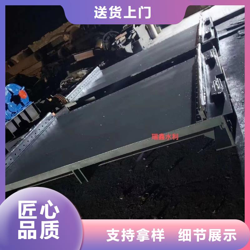 钢板闸门  品质优越同城供应商