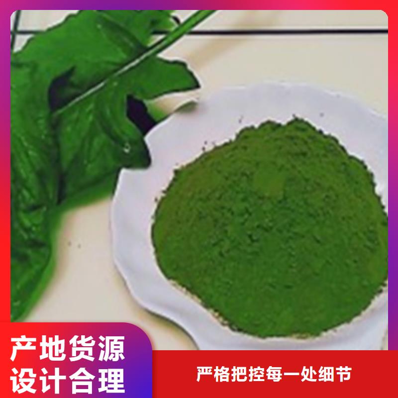 脱水菠菜粉实力雄厚现货销售