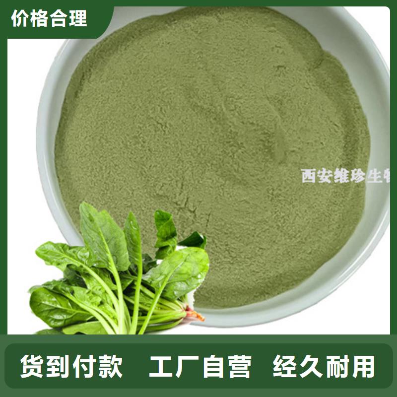 菠菜粉供应大库存无缺货危机