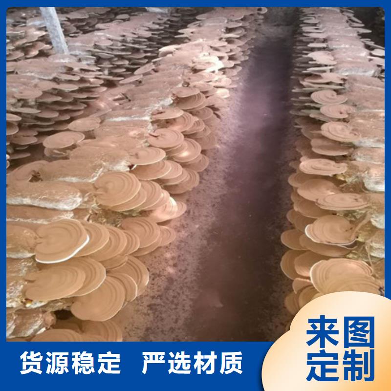 
灵芝粉
质量好_服务好好货直销