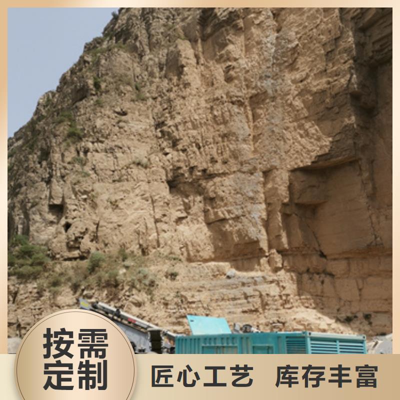 10KV发电机出租本地生产商