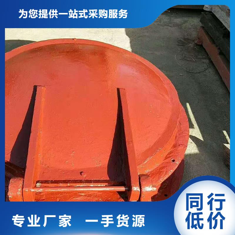 镶铜铸铁闸门欢迎电询源头厂家经验丰富