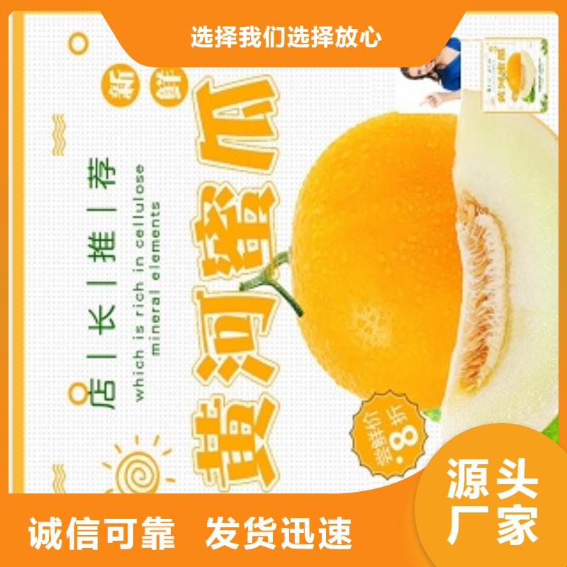 小程序制作【小程序区域代理招商】多年行业经验一手货源
