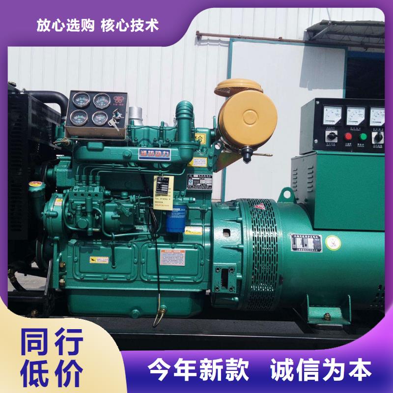 曹妃甸发电机出租现场派驻工程师多种款式可随心选择