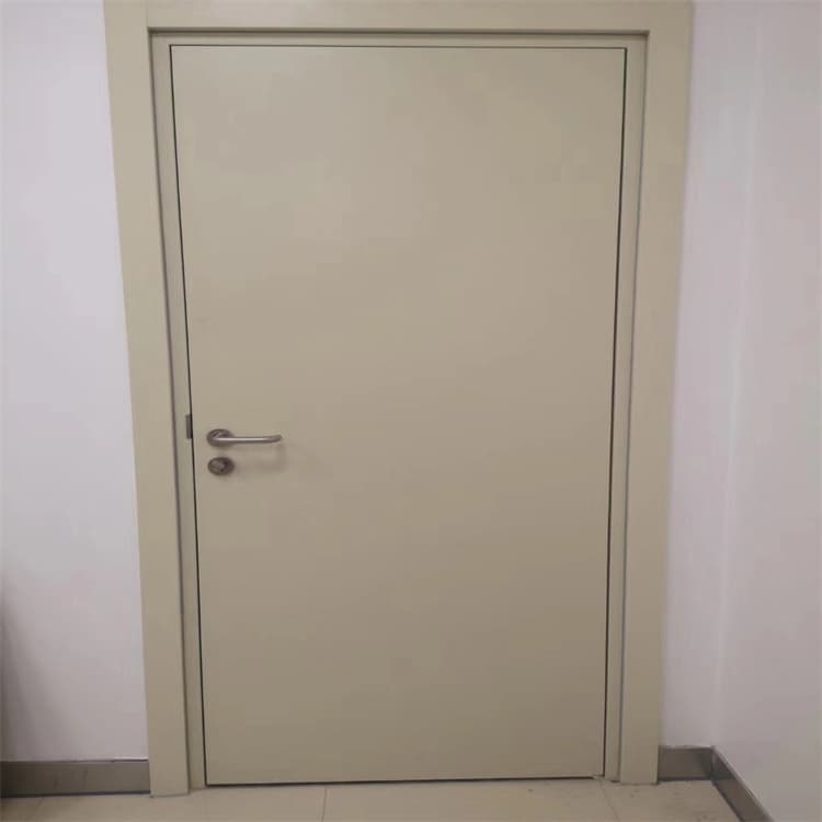 铅门900*2200mm非标定制