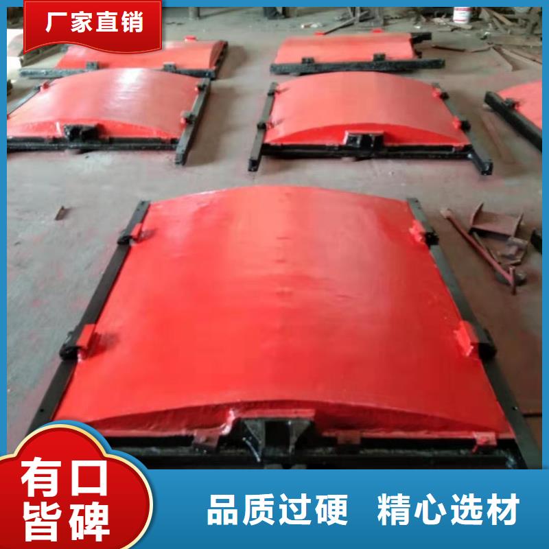铸铁镶铜闸门-水坝止水闸门启闭机终身维护质保一年