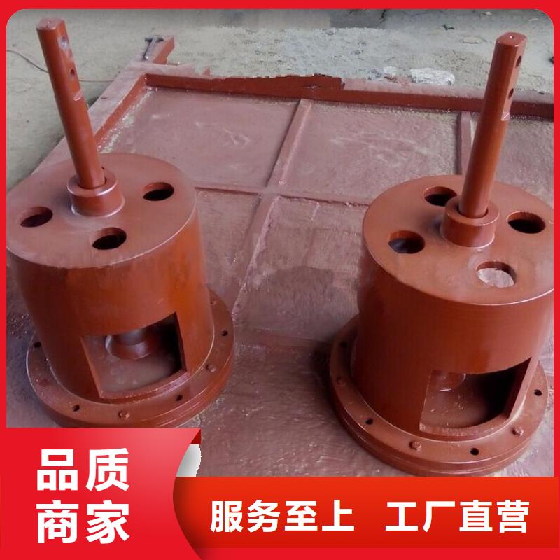铸铁闸门启闭机[生产厂家在哪里]本地厂家
