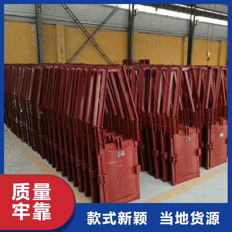 铸铁镶铜闸门-双向铸铁镶铜闸门定制化本地供应商