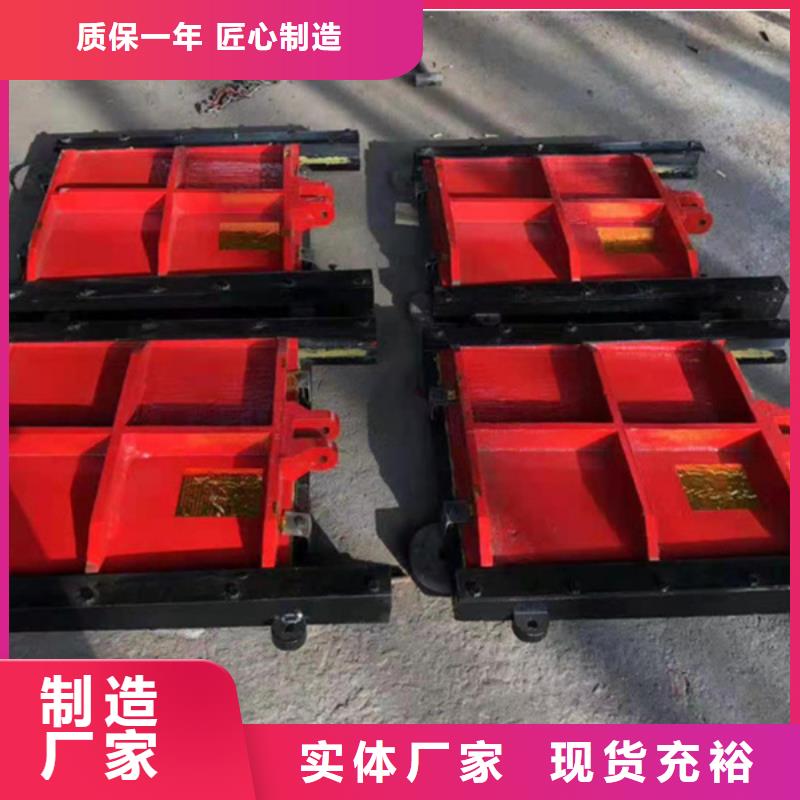 启闭机闸门-水电站启闭机闸门自动化同城生产厂家