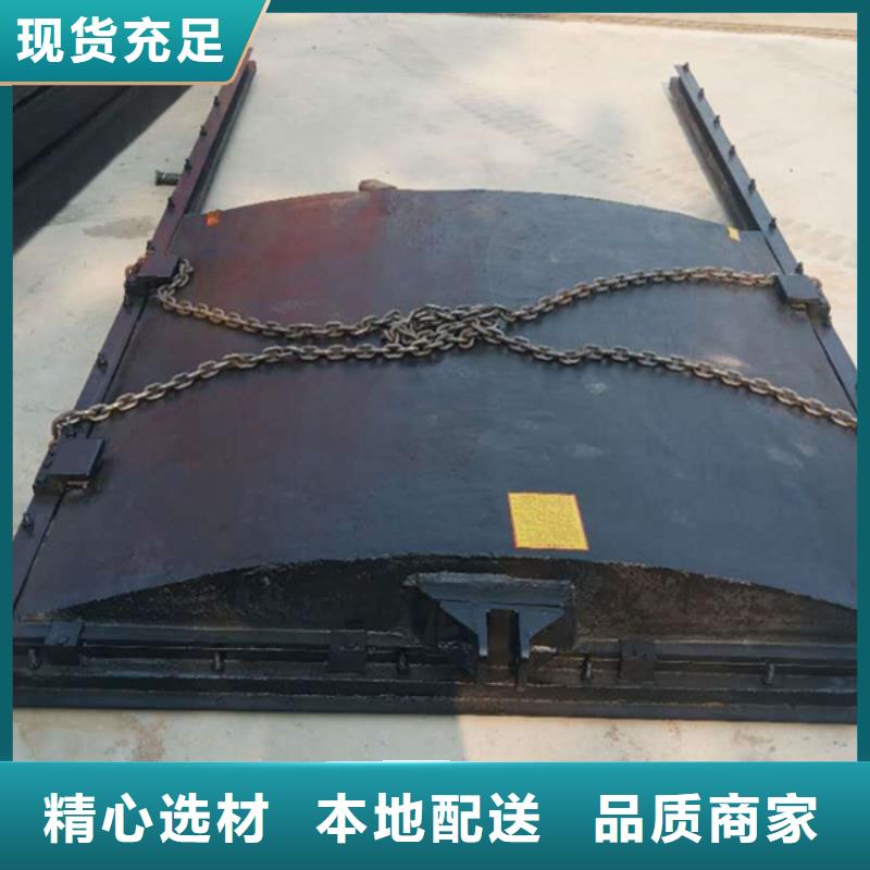 PZ平板平面铸铁闸门[供应商价格]本地配送
