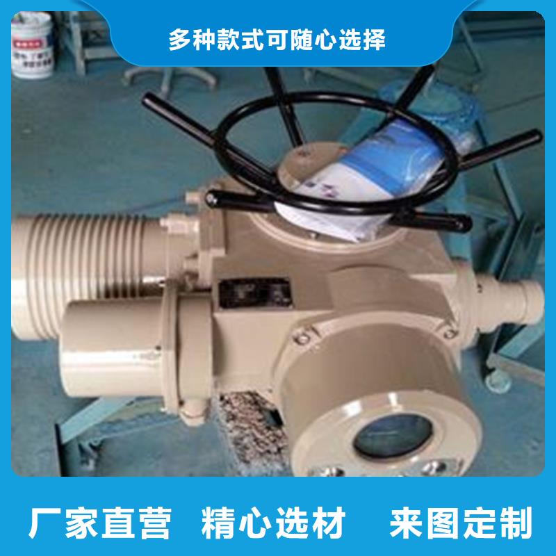 诚信的手电螺杆启闭机生产厂家当地公司