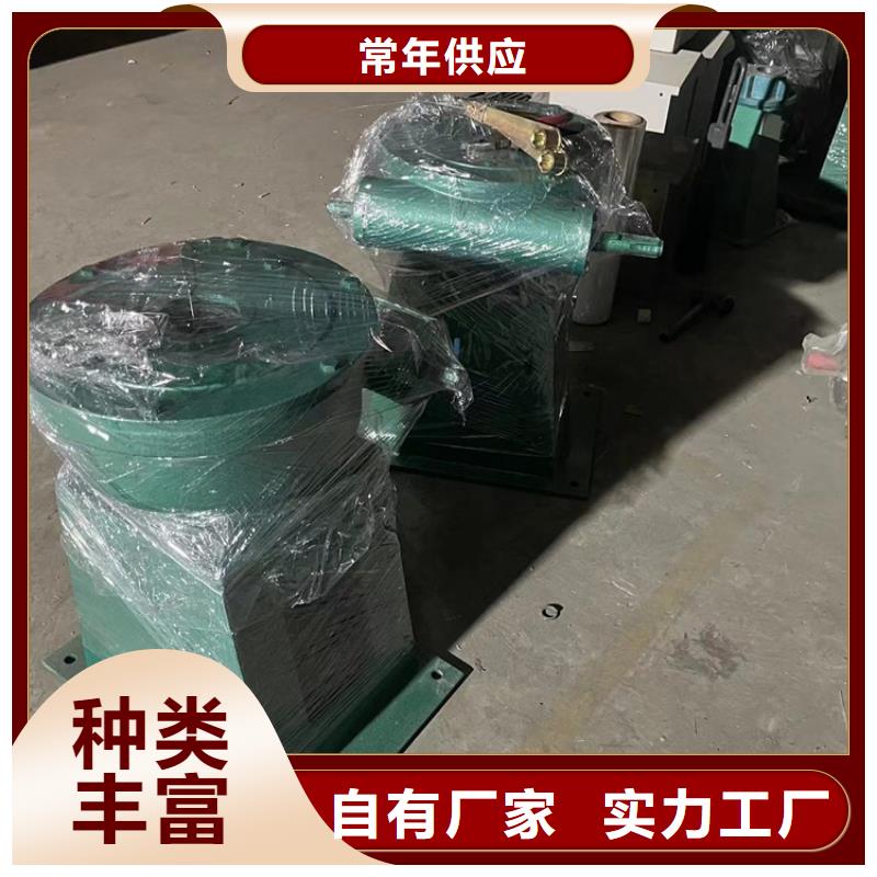 启闭机闸门QL-SD型手电两用启闭机免费安装调试，终身维护！批发商