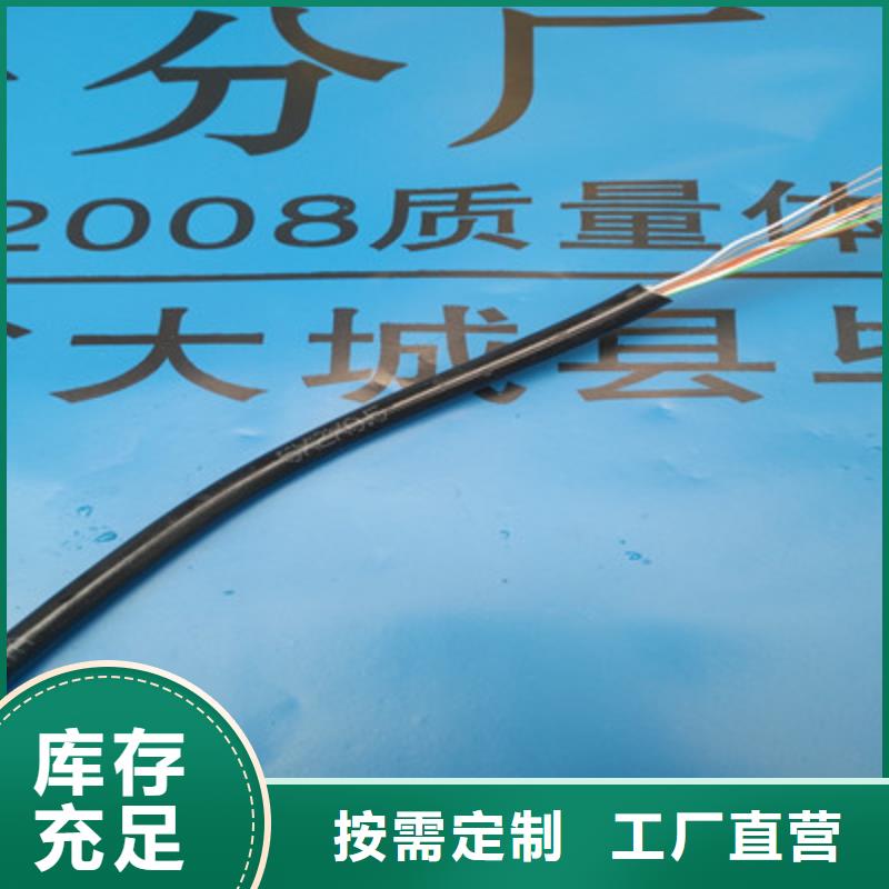 通信电缆计算机电缆实地大厂客户信赖的厂家