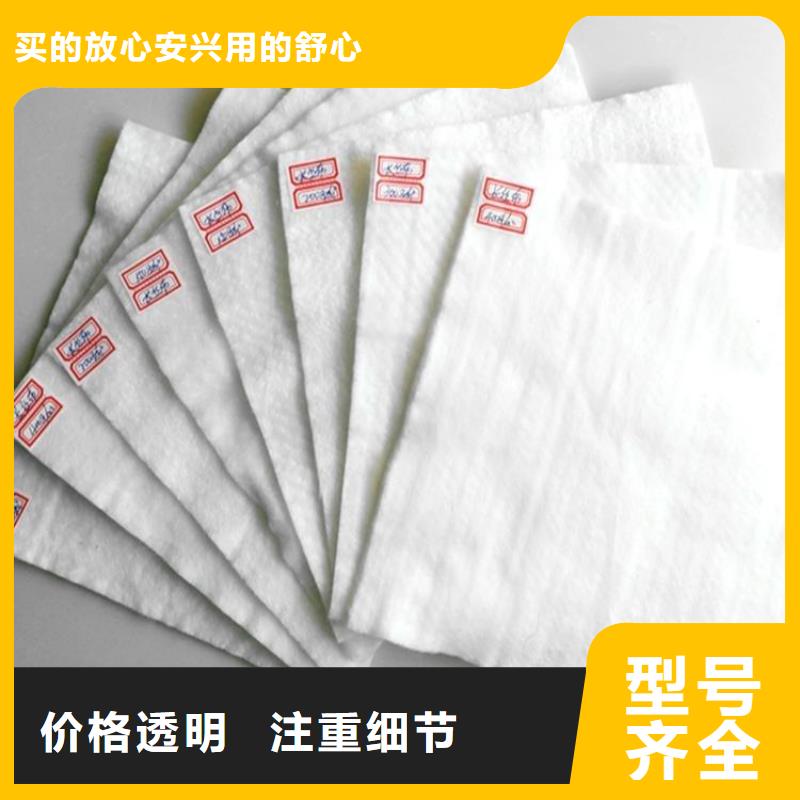 土工布防草布甄选好厂家源头厂家