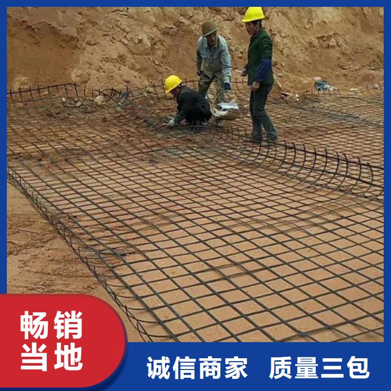 双向土工格栅实体大厂电话生产型