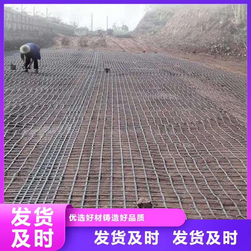 钢塑格栅为您介绍厂家本地货源