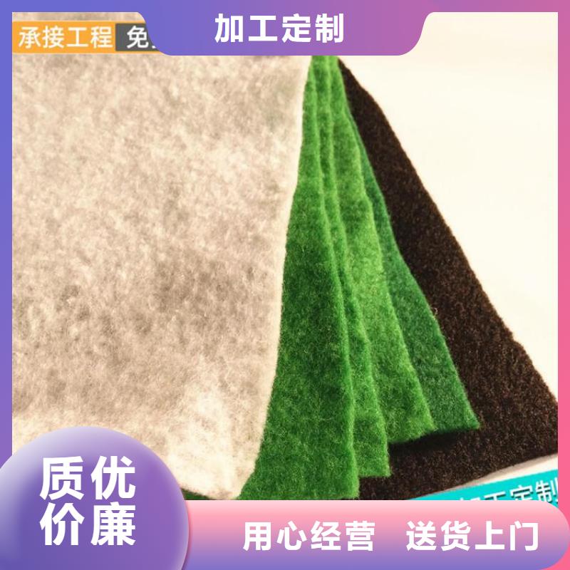 土工布【涤纶格栅】一站式采购厂家直销值得选择