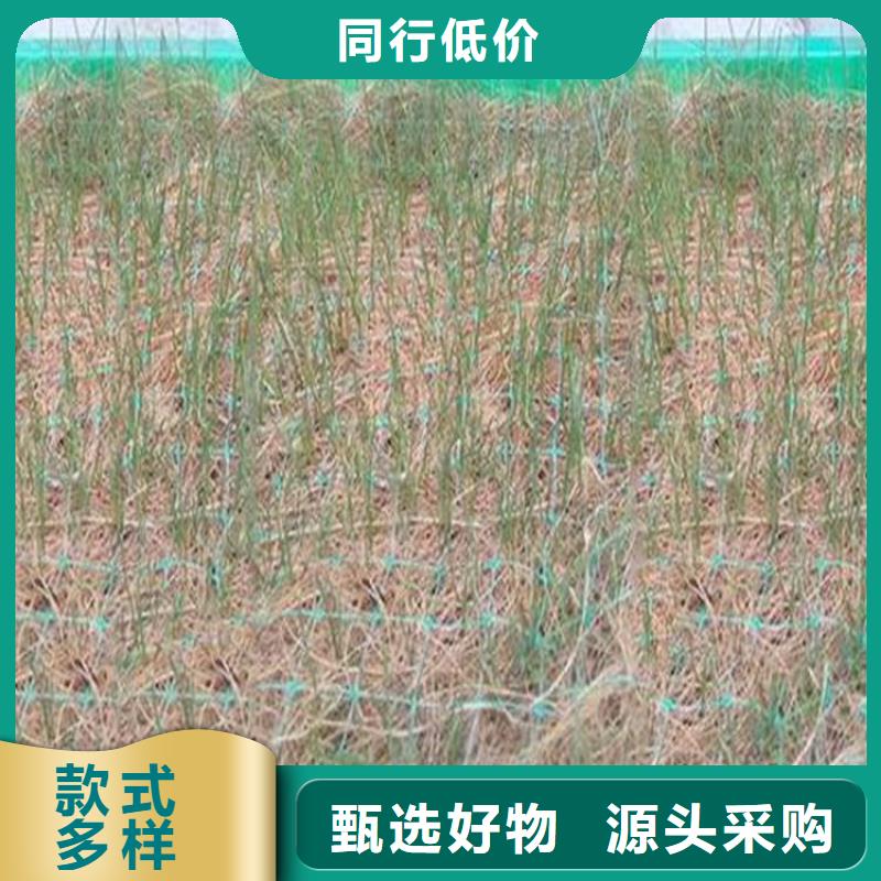 椰丝毯止水带发货迅速本地生产厂家