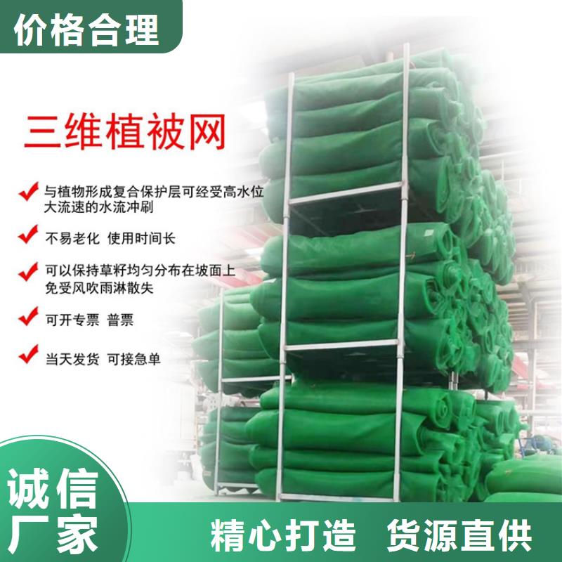 三维植被网,通风降噪丝网品质有保障厂家批发价