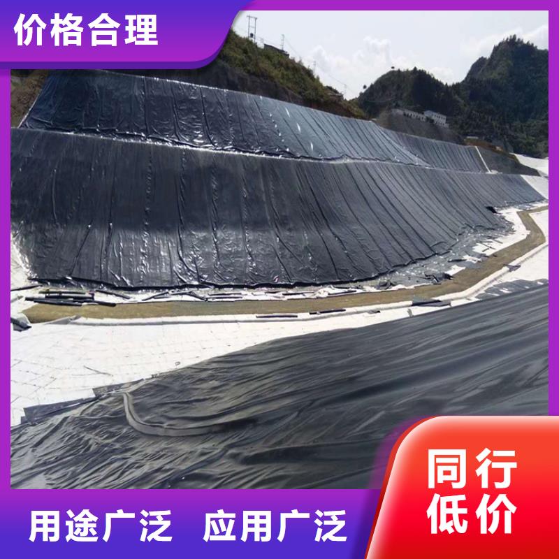 【土工膜】_玻璃纤维土工格栅订购本地货源