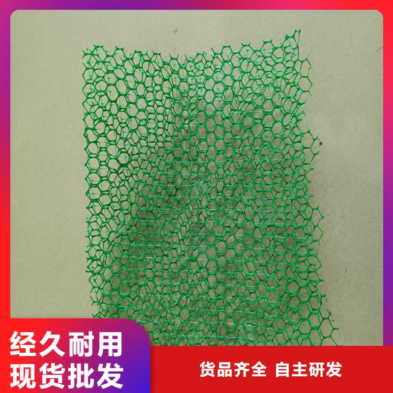 三维植被网土工膜出货快精选好货
