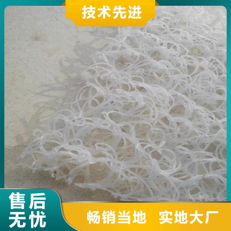 【土工席垫】三维植被网符合行业标准同城制造商