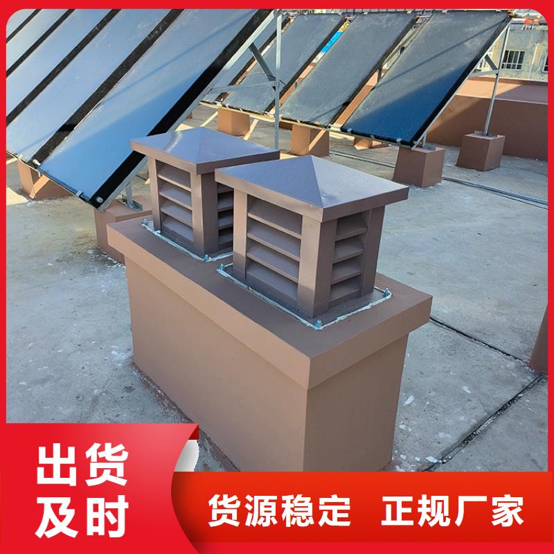高层楼房用大风量风帽内外喷塑同城生产商