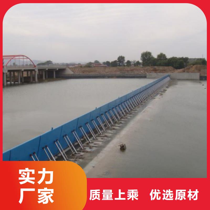 翻板闸门水库钢闸门多行业适用当地货源