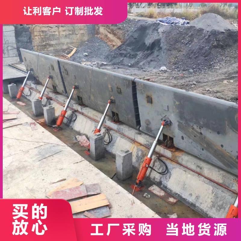  翻板闸门用心细节价格低