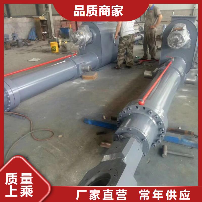 翻板闸门品质过硬当地公司
