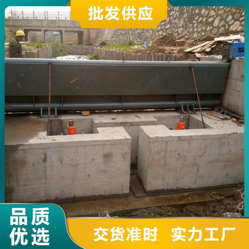 翻板闸门除污机敢与同行比服务当地生产厂家