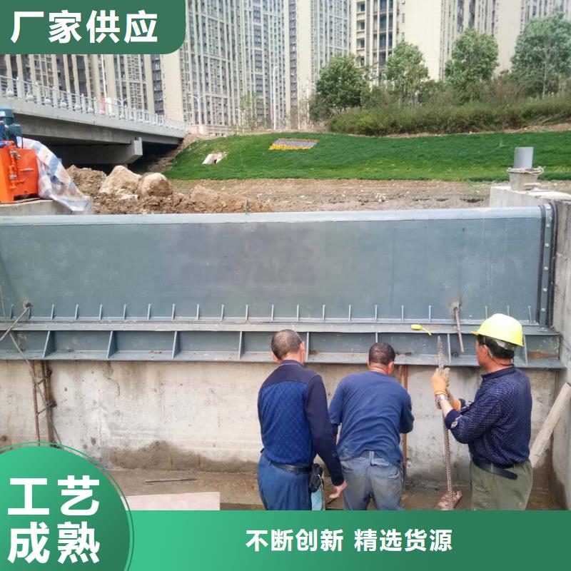 钢制平面闸门型号汇总本地生产厂家