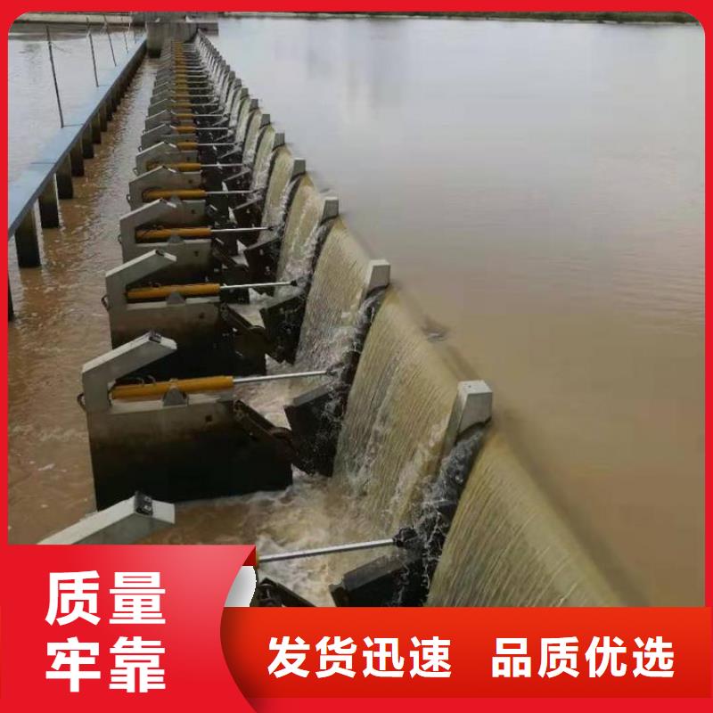 翻板闸门超产品在细节免费询价