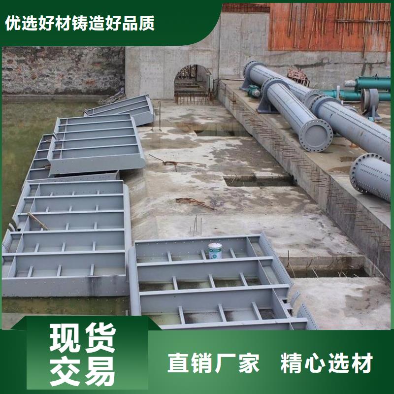 翻板闸门不锈钢闸门价格合理本地配送