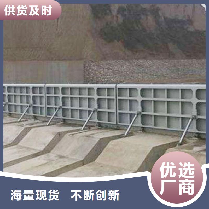 翻板闸门海量库存精心选材