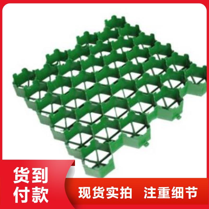宜昌植草格价格