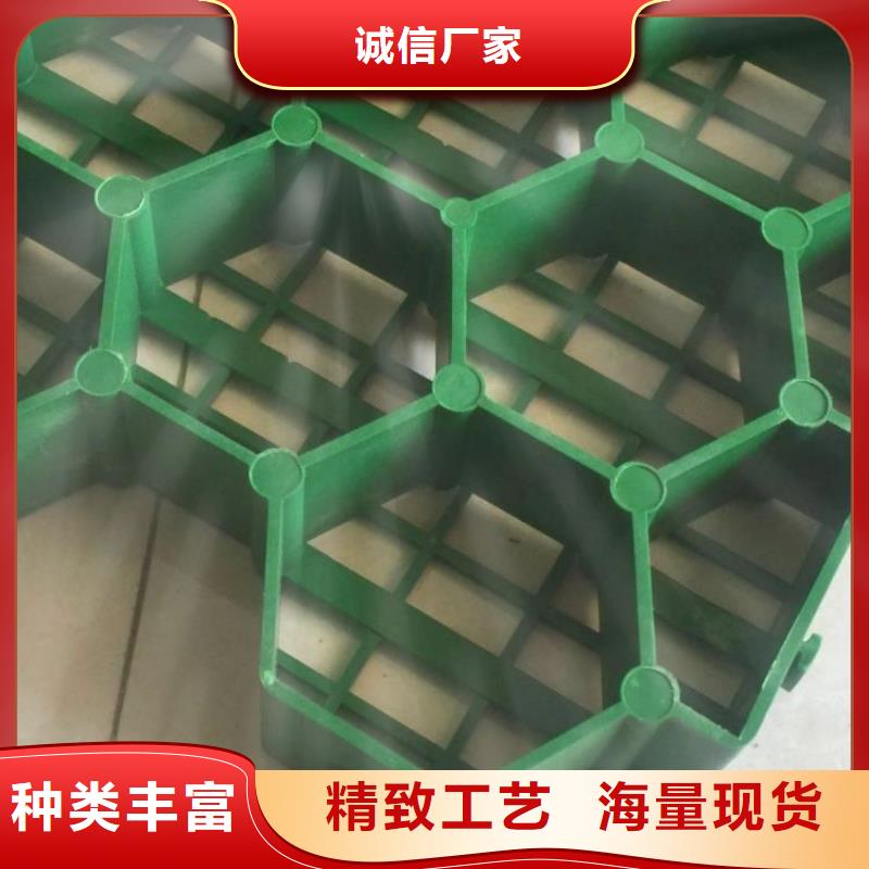 宜昌植草格价格