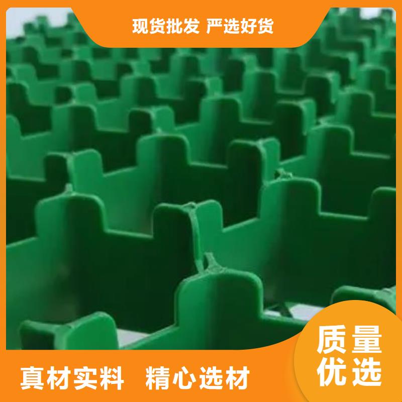 宜昌植草格价格
