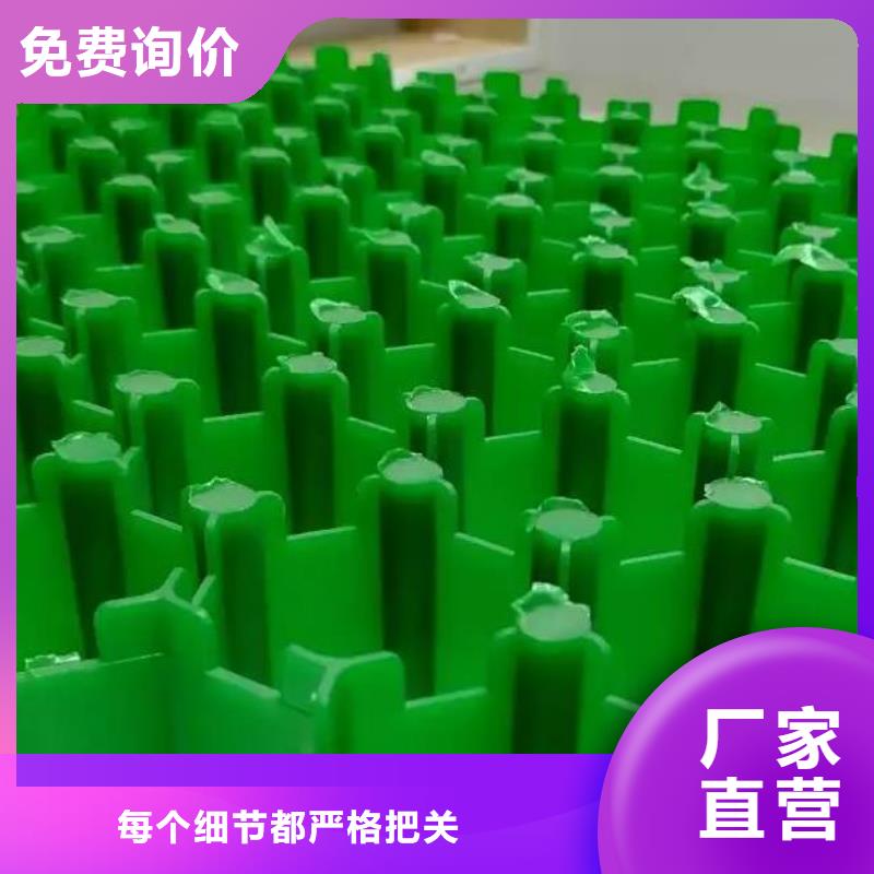 宜昌植草格价格