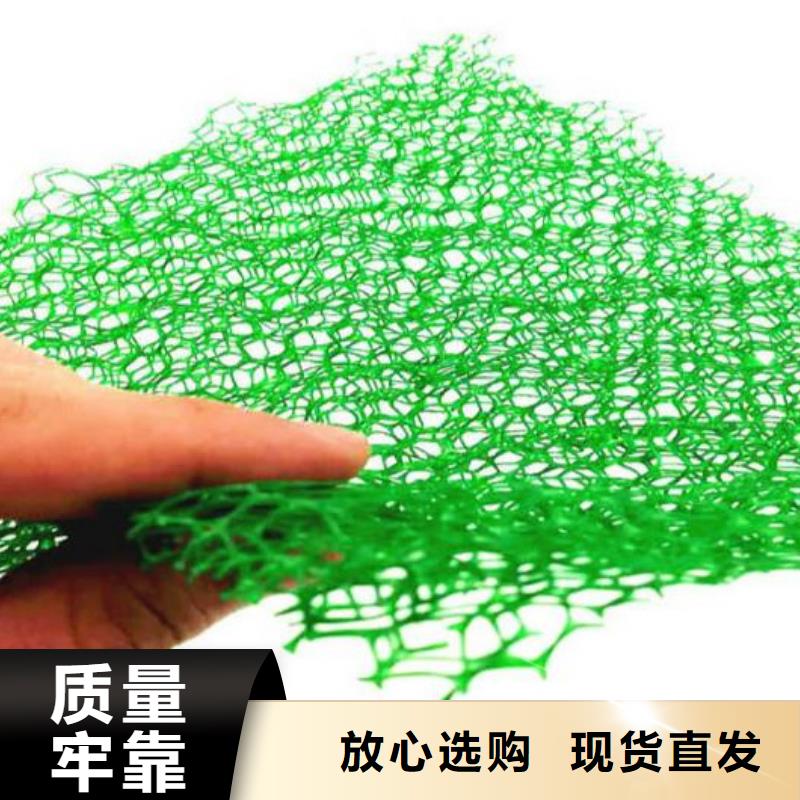 哈尔滨三维植被网哪里有