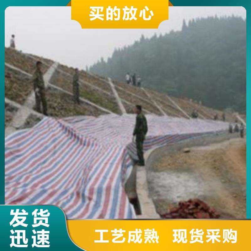 塑料编彩条布-发货迅速本地品牌