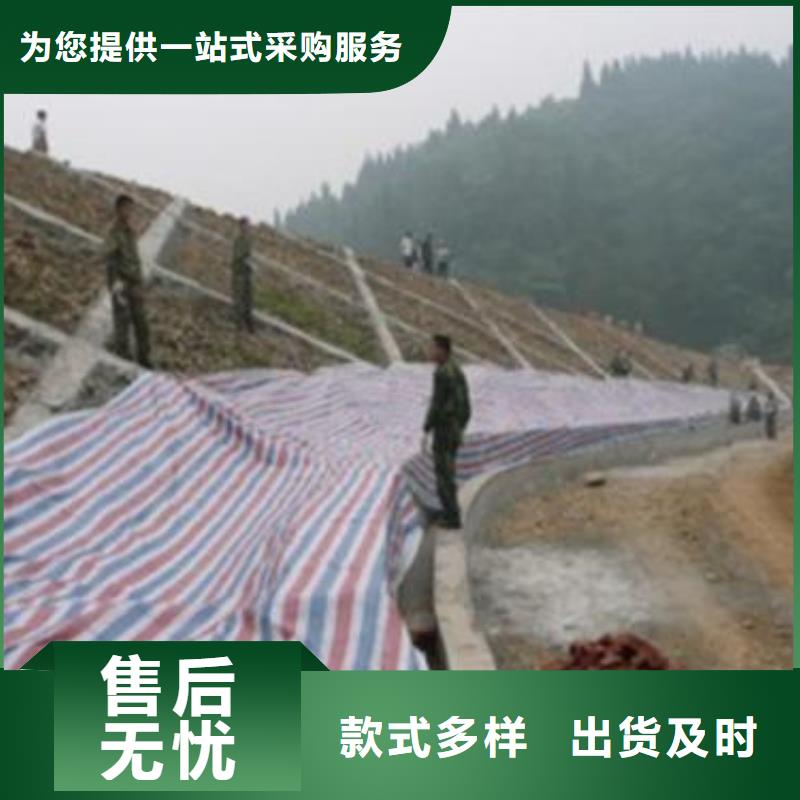 新料彩条布超高性价比详细参数