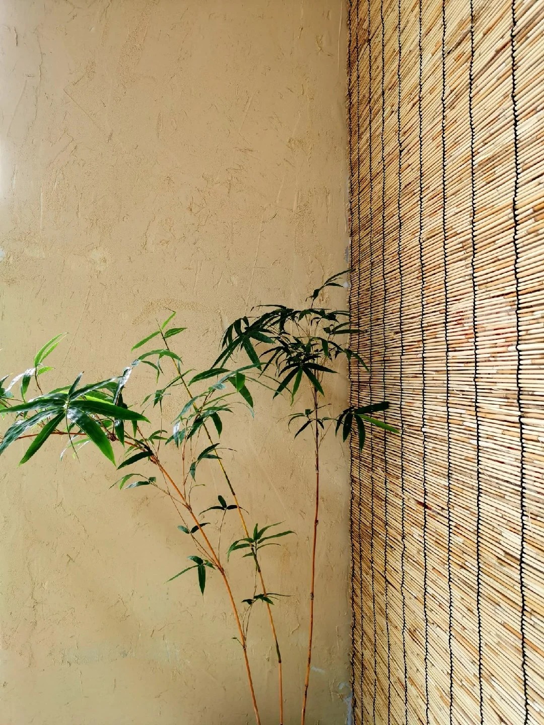 仿夯土外墙漆施工#农家小院#乡村建设#民宿改造