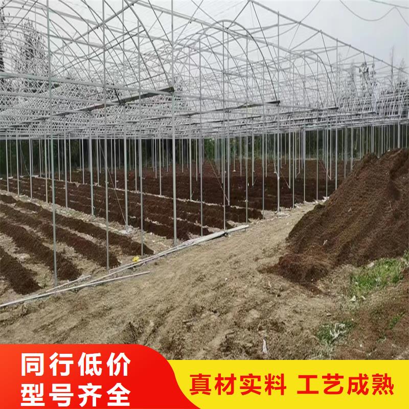 湖北省宜昌夷陵区蔬菜大棚骨架实体大厂2023--境内派发